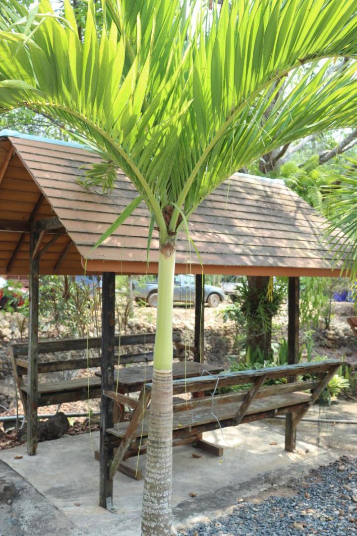 Baanrimklong Bungalow Csang-sziget Szoba fotó